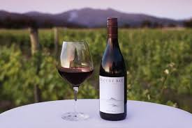 Festive Red Wine - Pinot Noir