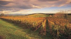 Wine Regions of Australia