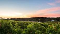Wine Regions of Australia